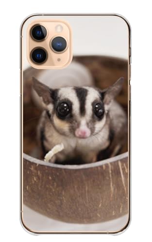�X�}�z�P�[�X Galaxy S26 SC-51G SCG36 �M�����N�V�[ S26 �P�[�X �n�[�h�P�[�X �J�o�[ �S�@��Ή� �������K �t�N���������K �ʐ^ �f�U�C��04