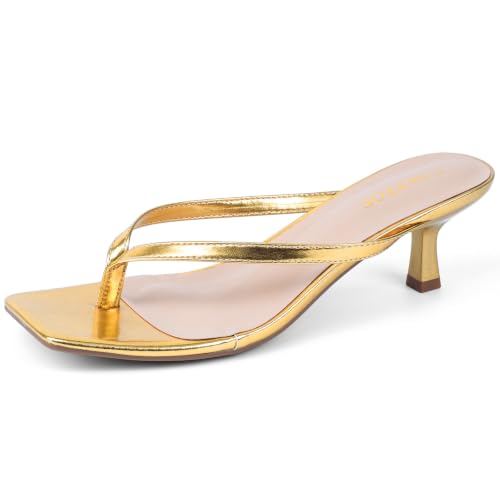 Image of Kitten Heels for Women Square Toe Sandals Flip Flop Heels Thong Sandals Comfortable Summer 2 Inch Heels Sandals