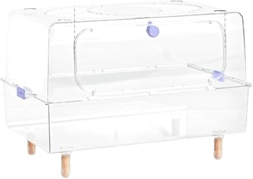 NozumanX^[P[W ifUC S[fN}p Re[W (sN/ʃTCY)