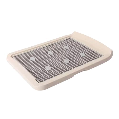 STARTIST pgCgC ybgg[jOpbh ~߃bV \tg y t pgC z_[ oRj[ rO[ , , L