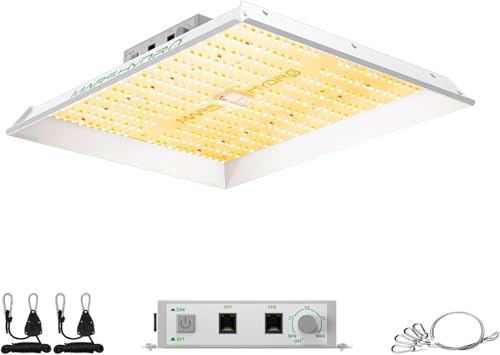 TS1000 LED