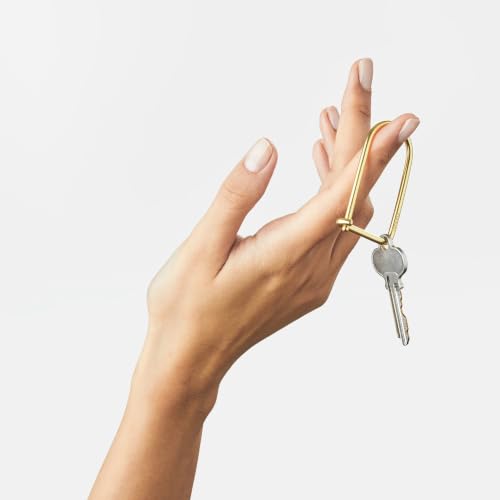 Image of Craighill Wilson Keyring - 2 inch Carabiner Keychain Clip, Key Ring for Car Keys, Lightweight, D Ring Key Organizer
