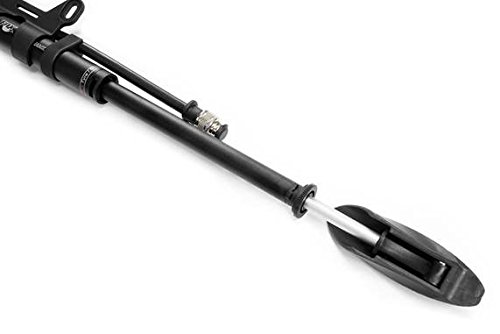 FOX Dual Stage Pump with Bleed