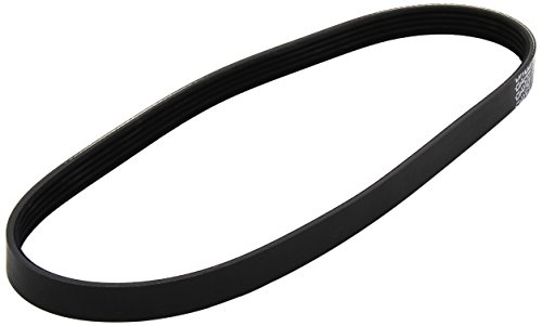 Dayco 5PK810 Correa Trapecial Poli V