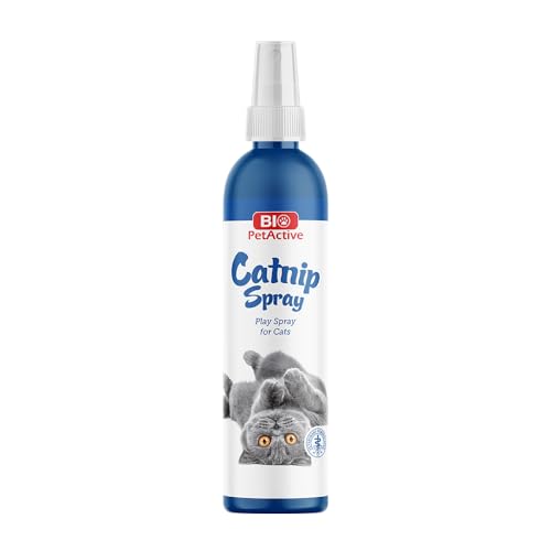 Bio PetActive Catnip Spray 100ml