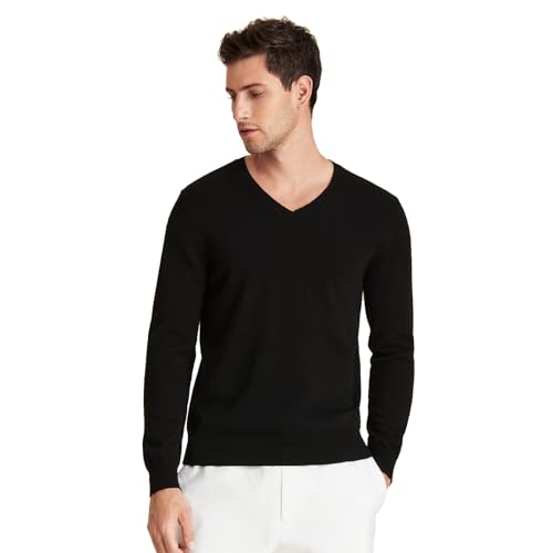 GreenMount Mens Cashmere Pullover Sweaters Casual V Neck Long Sleeve Pullover Keep 37.5 Warm Sweater for Men