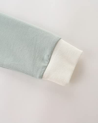 AIWUHE Toddler Sweatshirt Boys Girls Crewneck Pullover Tops Blouse Long Sleeve Cotton T-Shirt Fall Winter Clothes 2-6Y4