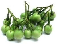 Fresh Thai Eggplant (Small/Pea) 200g