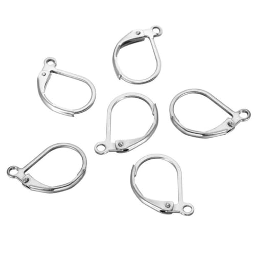 50pcs Adabele 304 Grade Surgical Stainless Steel Hypoallergenic Earring Hooks Leverback Strong Ear Wire 15mm Long for DIY Earrings Jewelry Making SJF193
