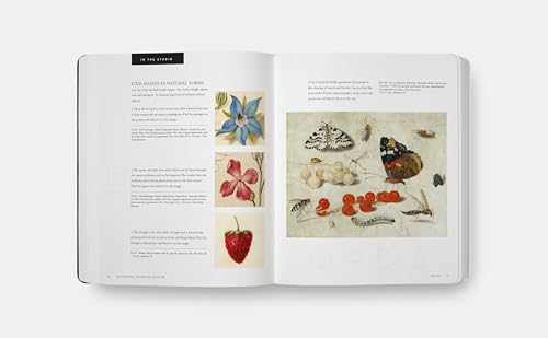 Beginning Drawing Atelier: An Instructional Sketchbook - Image 5