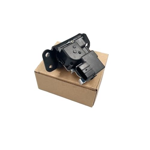 Coffre qui ne s'ouvre plus : Solution serrure hayon Tucson 812302S000