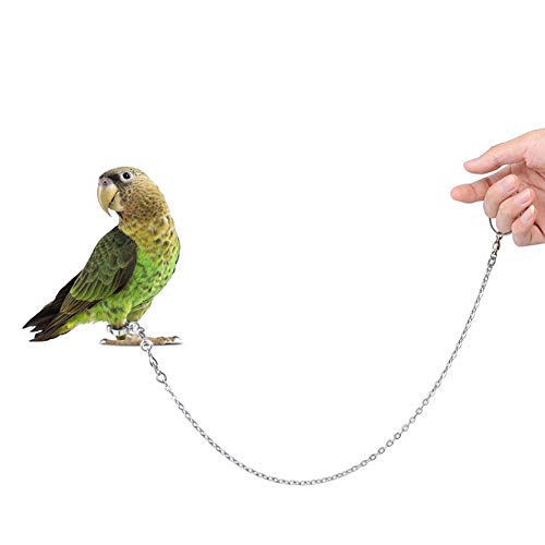 鳥用キャリーケージ バッグ Amazon アマゾン
