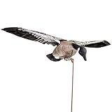 Higdon Outdoors Clone | Canada Goose Flapping Motion Decoy with Adjustable Wing Speed | Ultra Realistic Goose Decoy for Waterfowl Hunting | Includes Carry Bag, Stand, Power Cord & Remote