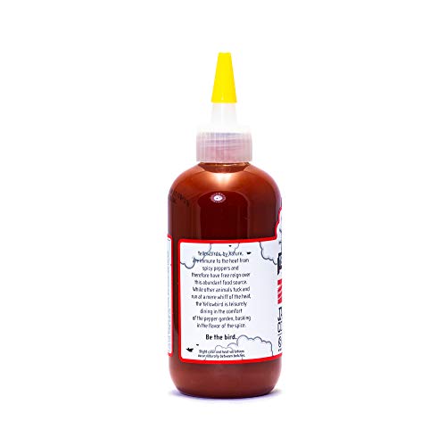 Yellowbird Jalapeno Condiment Sauce 9 oz (Pack of 3)