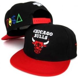 TISA Snapback Bulls Cap Big Sean Wiz 