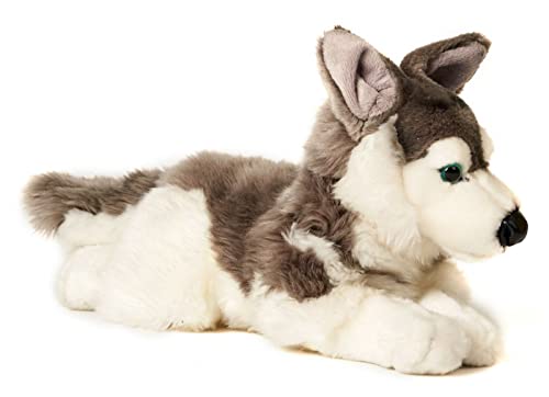 Uni-Toys - Husky, liegend - 40 cm (Länge) - Plüsch-Hund, Haustier - Plüschtier, Kuscheltier