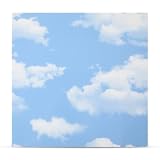 Nuanchu 40 Pcs Foam Drop Ceiling Tiles Peel and Stick White 3D Wall Panels, 26-105.5 Sq. ft Adhesive Glue up Waterproof Wallpaper DIY for Office Home (11.81 x 11.81 Inch,Sky)