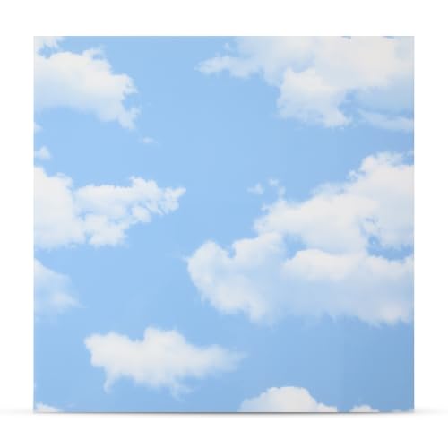 Nuanchu 40 Pcs 11.81 x 11.81 Inch Ceiling Tiles Peel and Stick, Sky