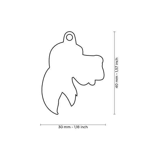 MyFamily Medaglietta per Cane Personalizzata Made