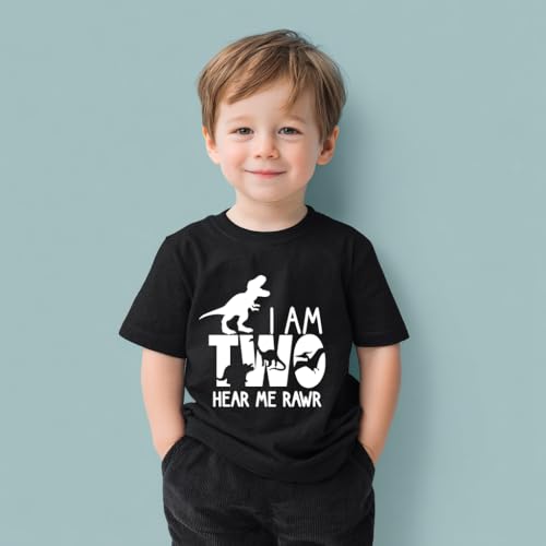 Toddler Boys 2nd Birthday Shirt, Two Handsome Dinos Firetruck Two Years Old Birthday Gift, Short Sleeve Tees4