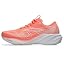 Sun Coral/White