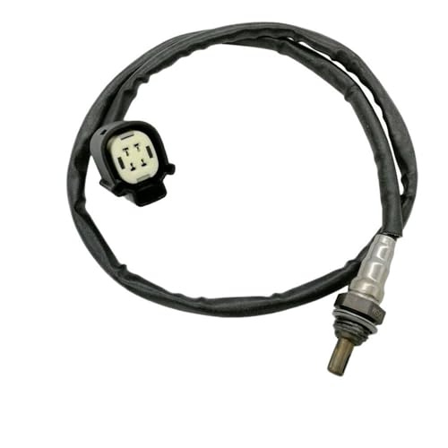 Capteur d'oxygène Sportster 1200 883 moto 2014 2015 2016 2017 2018 2 pièces
