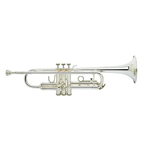 Vincent Bach Trombone Cleaning and Care Product (TR300H2S) Medium