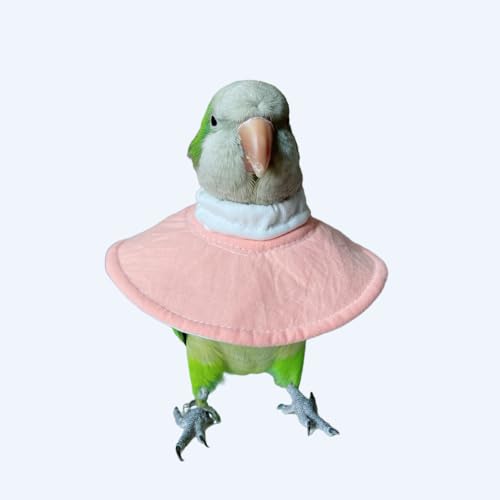 Parrot Neck Collar Pet Anti-bite Picking Feather Healing Protective Neck Cover Collar for Birds (4XL)