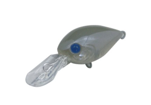 �f�B�X�v���E�g(DAYSPROUT) ���A�[ �`���^�N��DR-HW C-4 �É��Β�.