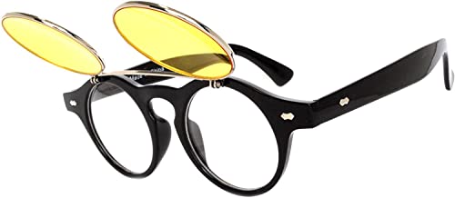 Image of OWL Steampunk Vintage Retro Round Circle Gothic Hippie Colored Plastic Frame Sunglasses Colored Lens