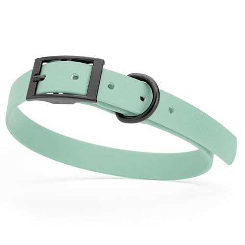 Image of Dogline Biothane Waterproof Dog Collar Strong Coated Nylon Webbing with Black Hardware Odor- Proof for Easy Care Easy to Clean High Performance Fits Small Medium or Large Dogs, Sage Green