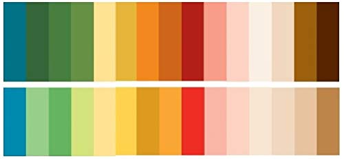 e.l.f. Assorted EYE Makeup Lot 11 Piece Mixed ELF Cosmetics Kit with No Duplicates choose Warm or Cool Colors! (WARM) + FREE MAKEUP BAG