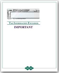 EGP Single Window Tax Information Enclosed Envelope, 9 1/2 x 11 1/2, 100 Envelopes