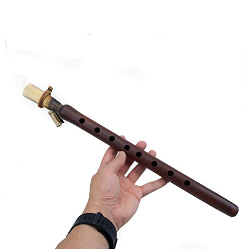 Sale - Professional Armenian Duduk, Leather Case, 2 Pro Reeds, Apricot Wood Flute Oboe Balaban Woodwind Instrument - Key A Duduk With Leather Case - Playing Instruction #TOP3