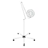 8 diottrie LED lente d'ingrandimento lampada da terra con 5 base girevole e braccio, 120 LED 24 W per cosmetologie, adesivi dentisti, tecnici delle unghie