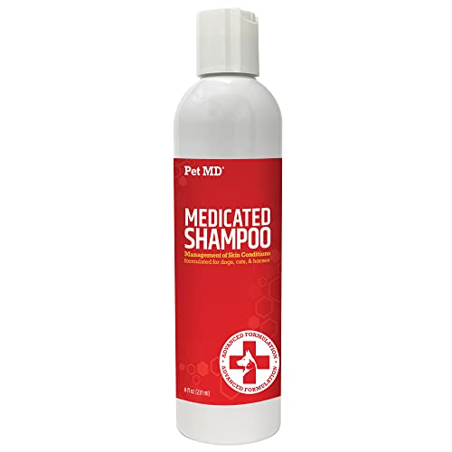 The Best Ketoconazole Shampoos Reviews with Buying Guide in 2022