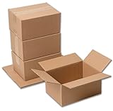 IPEA Scatole di Cartone 25 x 18 x 12 cm per Spedizioni, E-Commerce, Regali – 5 Pezzi – Made in Italy – Scatole Rettangolari Multiuso per Imballaggio Oggetti, Eventi, Feste, Natale – Scatola Confezione