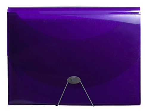 Exacompta 58770E Premium Kunststoff-Fächermappe Iderama mit Gummizugverschluss DIN A4 13 transparente Fächer, 1 Stück Zufallsfarbe