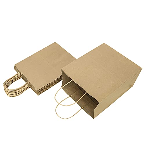 Oikss 100 Pack 8X4.75X10 Inch Medium Plain Natural Paper Bags With Handles Bulk, Kraft Bags For Birthday Party Favors Grocery Retail Shopping Business Goody Craft Gift Bags Sacks (Brown 100 Pcs Count) #TOP3