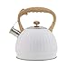 DQY Bollitore Fischiante Bollitore di fischio in Acciaio Inossidabile Bianco 3.5L, Vaso di teaktettle di fischio con Bottiglia d'Acqua Maniglia Bollitori Elettrici Teiera Teiera