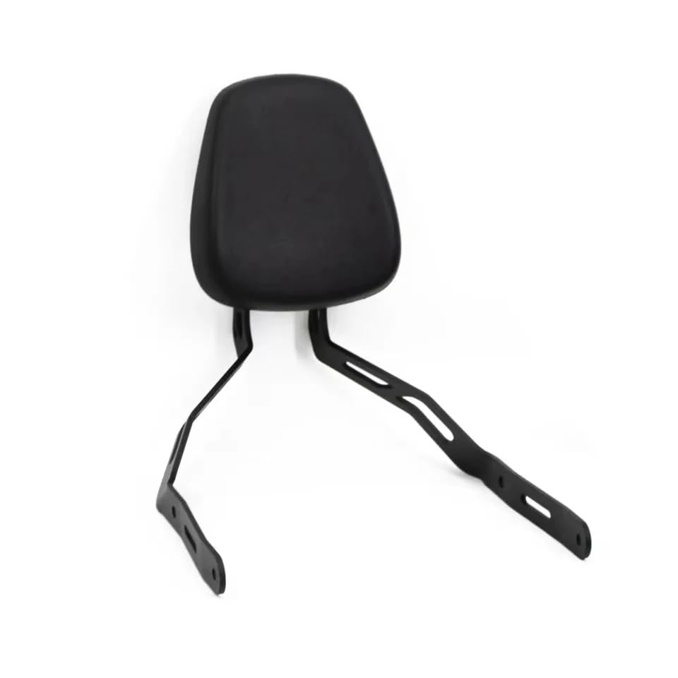 Dossier arrière moto en PU pour selle passager de CLC450