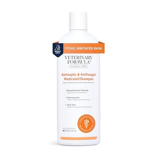 Veterinary Formula Clinical Care Antiseptic and Antifungal Medicated Shampoo for Dogs & Cats, 16 Fl Oz – Helps Alleviate Scaly, Greasy, red Skin – Paraben, Dye, Soap-Free (1 Pack)