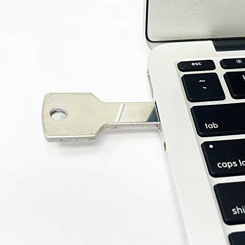 Image of eo Pendrive 64GB Key Shaped Metal Pen Drive with Fast Class 10 Chip USB 2.0 (Silver)