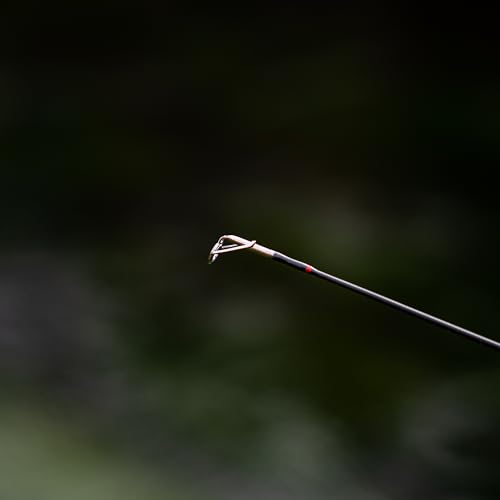 Abu Garcia Cardinal X Spinning Combo