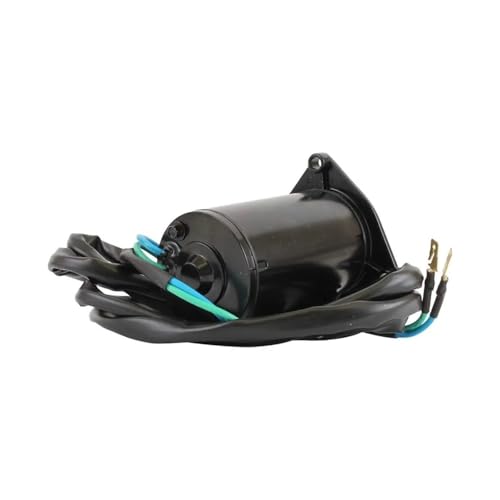 Moteur de trim d'inclinaison indispensable pour naviguer en mer avec E100STL - 5