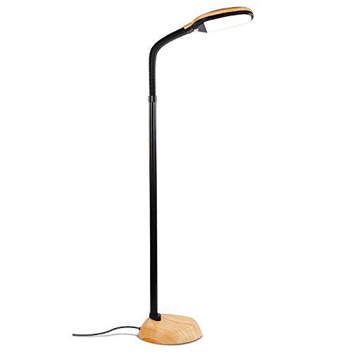 Brightech Litespan - LED Floor Reading Lamp, Modern...