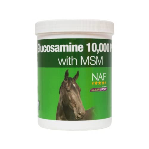 Amazon.co.uk Best Sellers The most popular items in Horse Hip & Joint Care