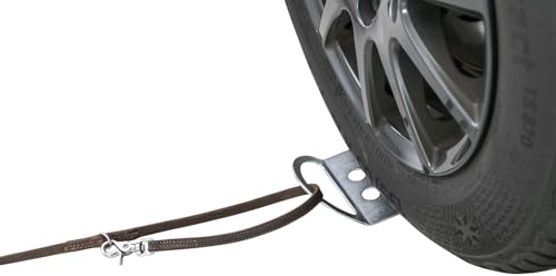 Trixie Rostfreie Anleinmöglichkeit Am Auto Für Hunde Auffahrplatte Zum Anleinen, 12 × 26 cm -13099
