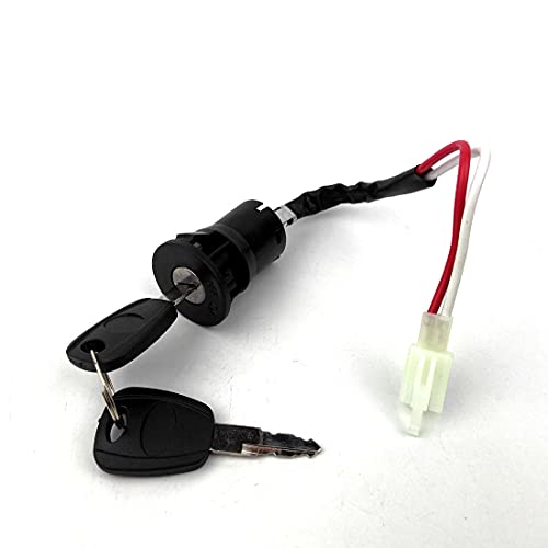 L-faster 24V36V 250W Electric Bicycle Motor Kit E-Bike Conversion Kit Simple DIY Ebike Motor Homemade EBike Cool Change Kit Modified Bike (24V250W)