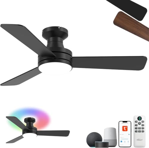 Homlit Ventilateur Plafond 42" RGB avec Lumière, Synchronisation Musique, Compatible Alexa